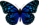 Logo Psychocalme – psycholog online